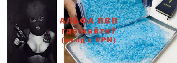 стаф Белокуриха