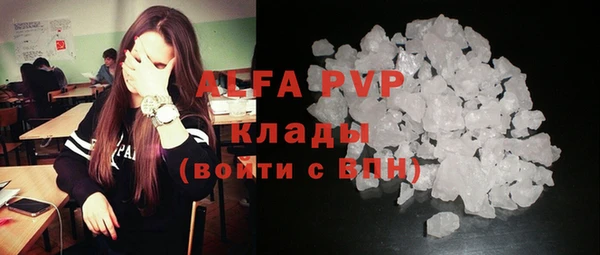 стафф Беломорск