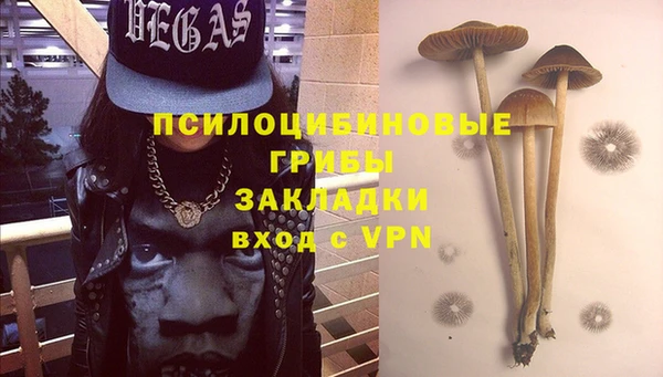 стаф Белокуриха