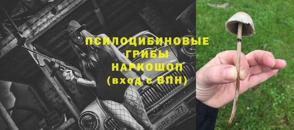 стаф Белокуриха