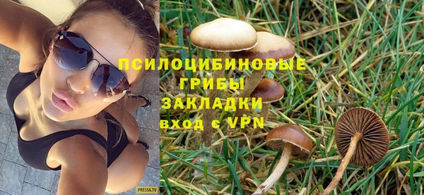 стафф Беломорск