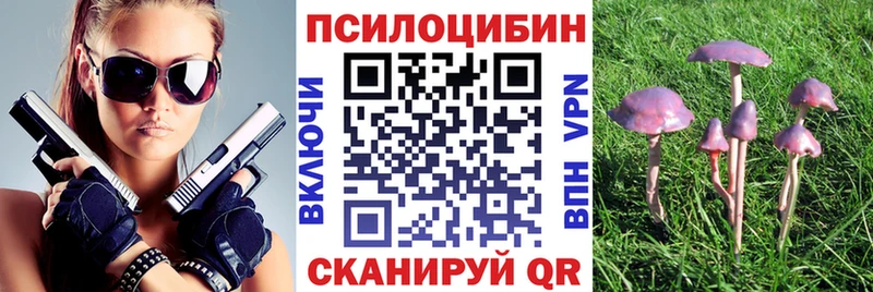 закладка  Кузнецк  Псилоцибиновые грибы GOLDEN TEACHER 